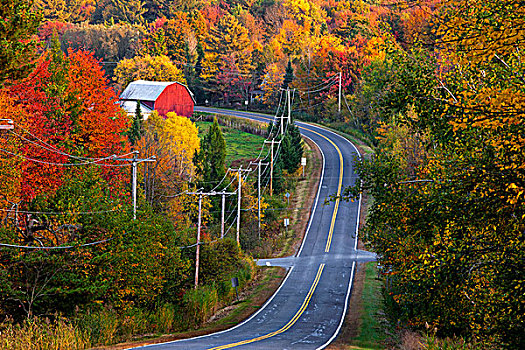 道路,红色,谷仓,树,秋色,魁北克,加拿大