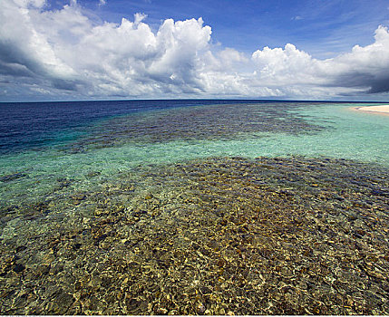 礁石,马尔代夫,印度洋