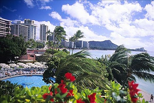 夏威夷,檀香山,瓦胡岛,怀基基海滩,钻石海岬,酒店,露台,花,植被,前景,游泳池,仰视