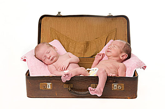 两个,婴儿,手提箱