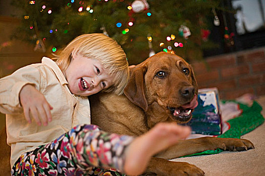 幼儿,拉布拉多犬,圣诞树