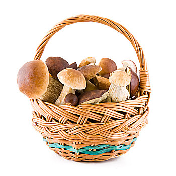 蘑菇,篮子