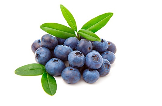 蓝莓,绿叶,隔绝,白色背景,背景