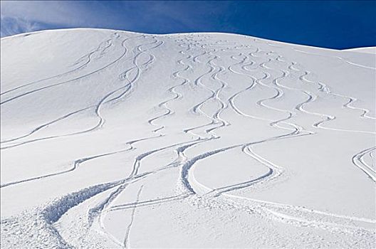 滑雪轨迹,山坡,不列颠哥伦比亚省,加拿大