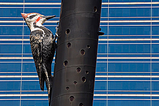 啄木鸟,柱子,雕塑,多伦多,安大略省,加拿大