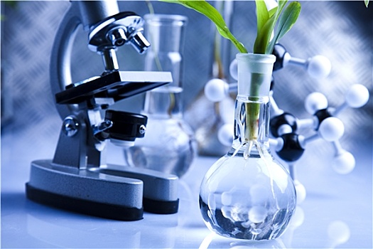 实验室器皿,植物,实验室