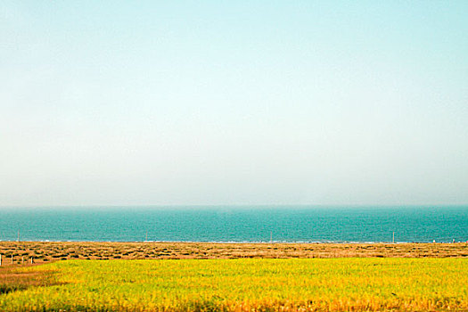 青海湖边的草原