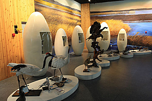 北戴河恐龙博物馆