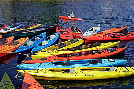 彩色,皮划艇,水,石头港,马萨诸塞,新英格兰,美国