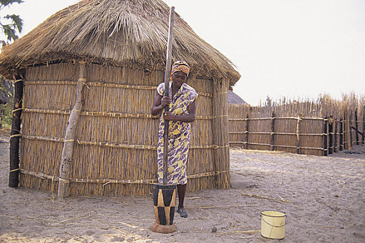 博茨瓦纳,奥卡万戈三角洲,乡村,女人,重击,玉米