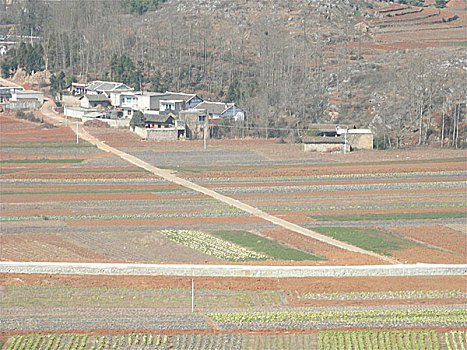 贵州风光,田园,风光,土地,梯田,村庄,云贵高原