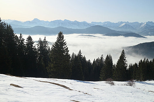 雾状,山景,冬天