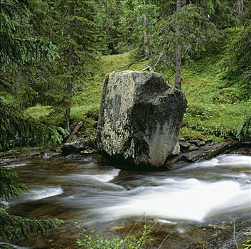 大,石头,溪流,瑞典