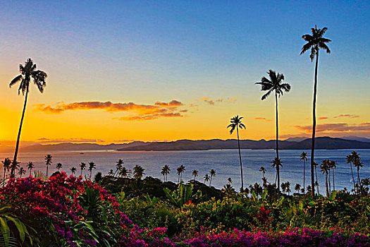 日落,背景,斐济