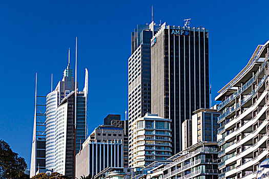 澳大利亚,悉尼,中央商务区,高层建筑,麦夸里岛,街道