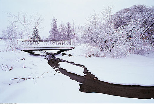 河流,桥,冬天