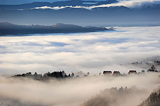 雾,山峦,施蒂里亚,奥地利,欧洲