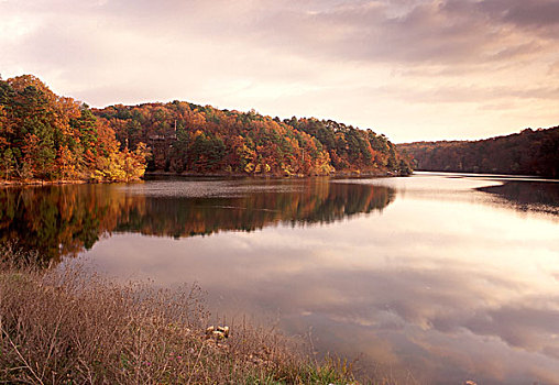 秋色,反射,湖