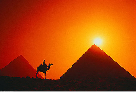 剪影,男人,骆驼,靠近,金字塔,日出,吉萨金字塔,埃及