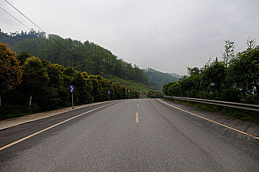 绿树环抱的蜿蜒山路