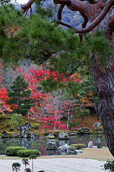 日本京都岚山天龙寺