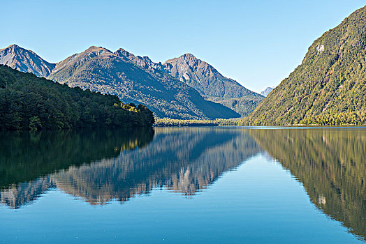 湖,反射,峡湾国家公园,南部地区,南岛,新西兰,大洋洲