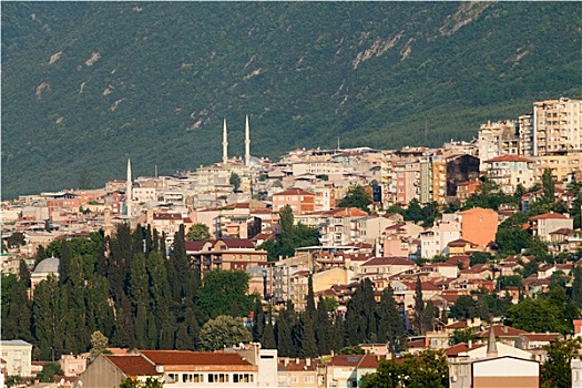 清真寺,许多,房子,波尔萨,土耳其
