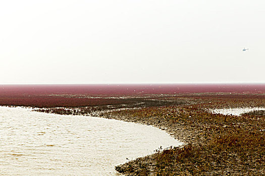 红海滩