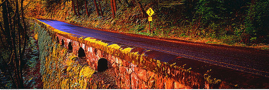 公路,悬崖,哥伦比亚河峡谷,俄勒冈,美国