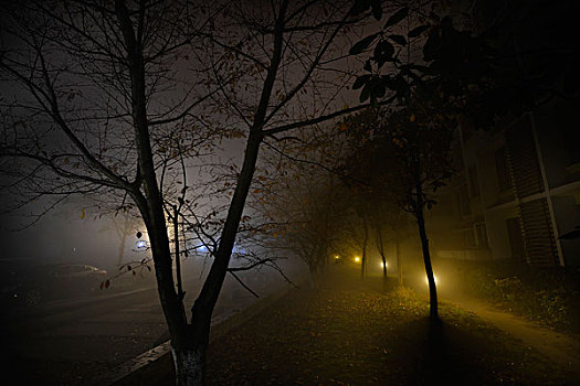 雾霾,大雾,浓雾,夜晚,深夜,住宅区,小区,灯光,路灯,树木,马路,街道,小巷,车灯