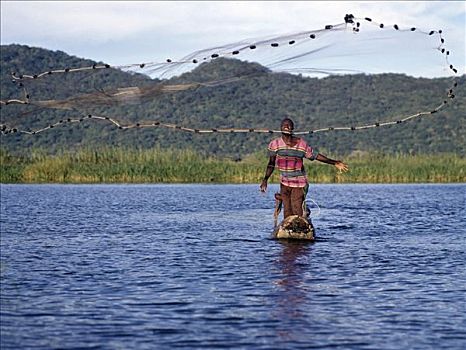 捕鱼者,独木舟,网,湖,只有,南方,传统,捕鱼,安静,马拉维