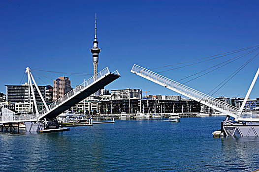 活动衍架,桥,高架桥,中心,奥克兰,新西兰
