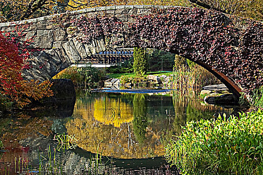 步行桥,上方,水塘,中央公园,曼哈顿,纽约,美国