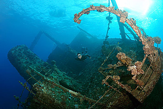 潜水,残骸,红海,沙姆沙伊赫,埃及,非洲