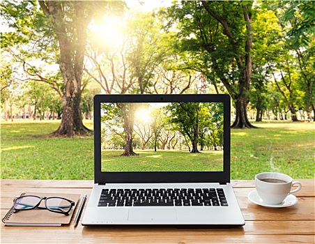 笔记本电脑,咖啡,木头,工作场所,公园,背景