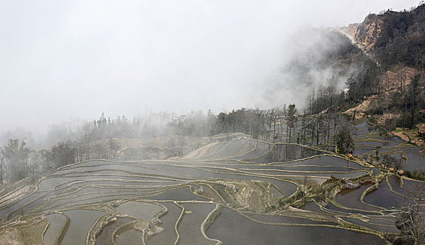 云南红河州元阳梯田自然景观