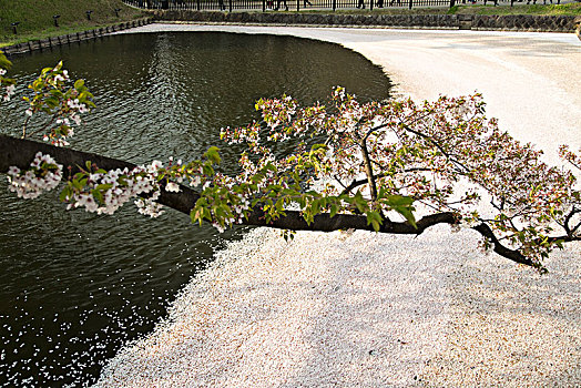 青森县弘前公园