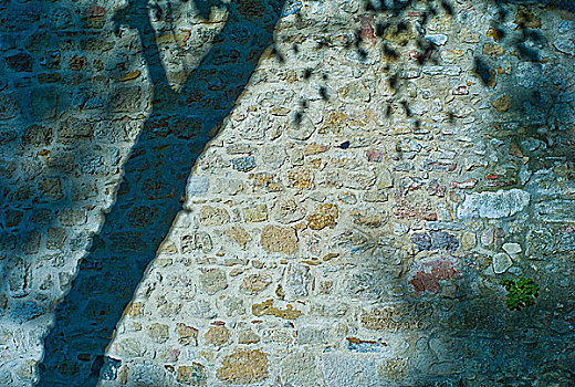 影子,树,石墙,里斯本,葡萄牙