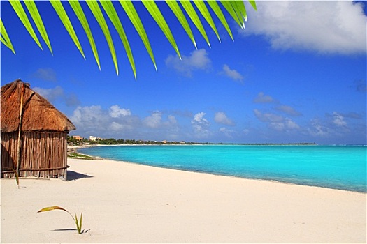 加勒比,棕榈屋,正面,热带沙滩,马雅里维拉
