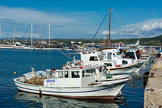 港口,渔船,区域,土耳其,亚洲