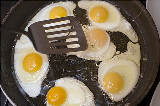 烹调,煎鸡蛋