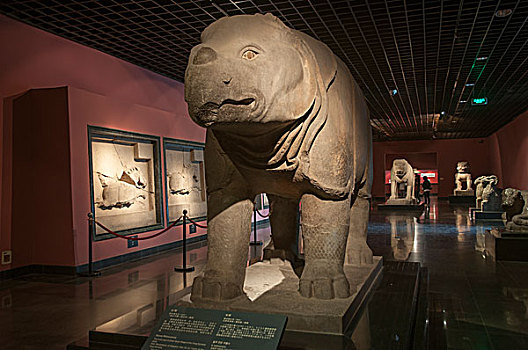 西安碑林博物馆雕塑藏品石犀