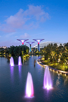 花园,喷水池,夜晚,新加坡