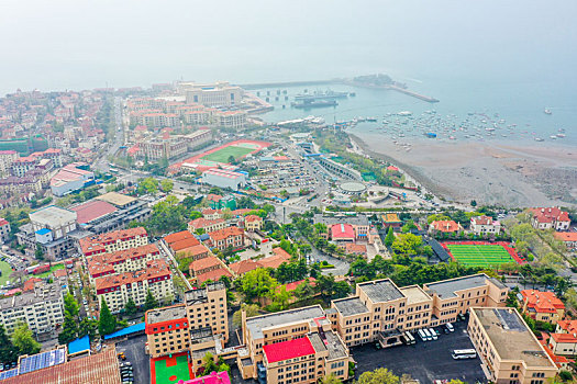 航拍山东青岛市南区城市红瓦绿树风光美景