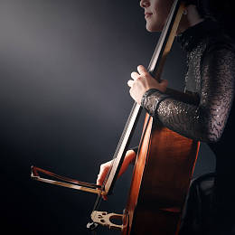 大提琴手图片