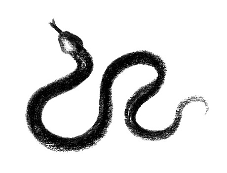蛇,象征