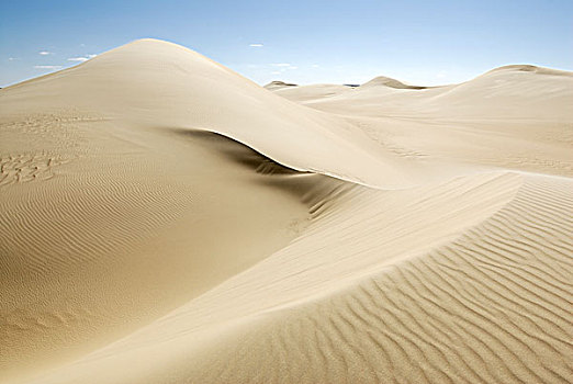沙子,沙丘,绿洲,巴哈利亚,西部沙漠,埃及,非洲