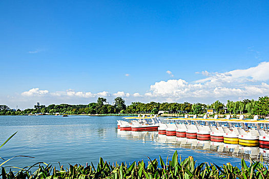 南京玄武湖美景
