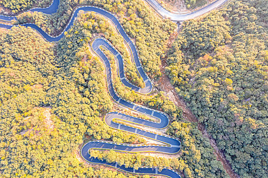 蜿蜒道路