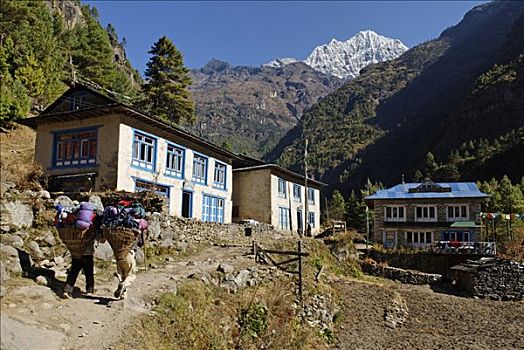 夏尔巴人,乡村,山谷,萨加玛塔国家公园,昆布,尼泊尔,亚洲